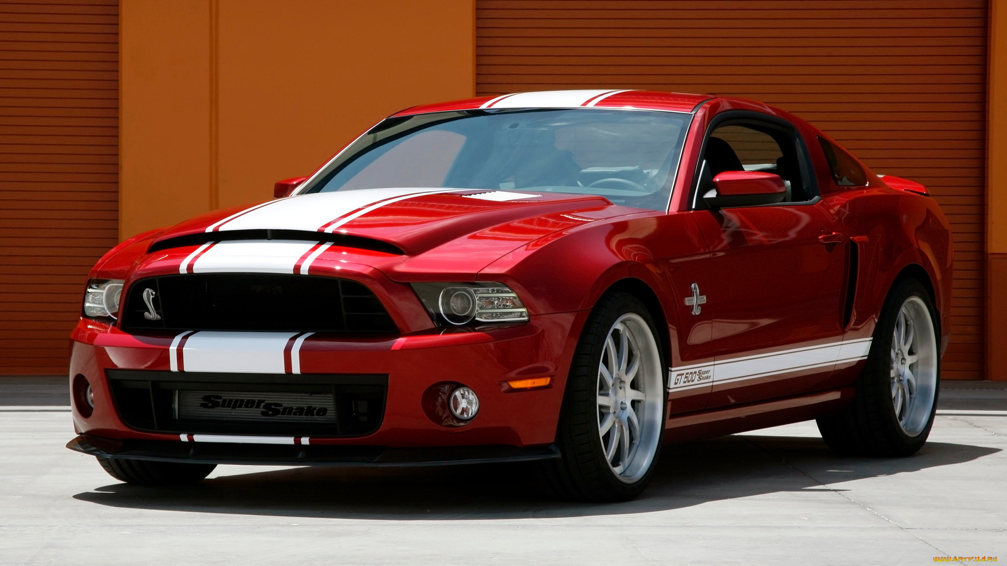 Форд Мустанг Шелби gt 500 super Snake